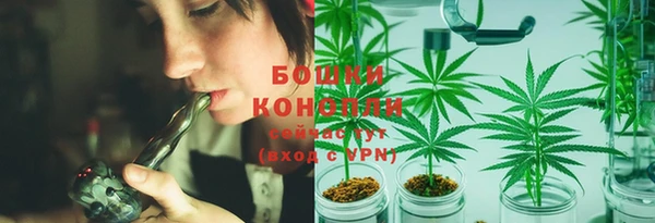 дурь Липки