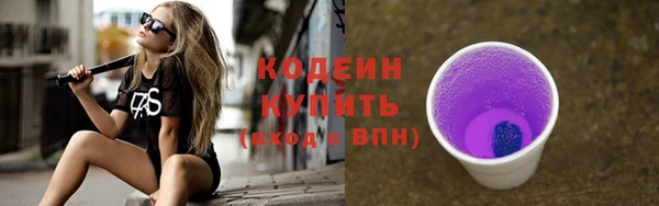дживик Великий Новгород