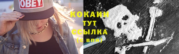 дурь Липки