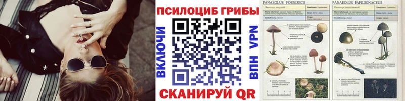 ОМГ ОМГ маркетплейс  Талица  Галлюциногенные грибы Magic Shrooms 